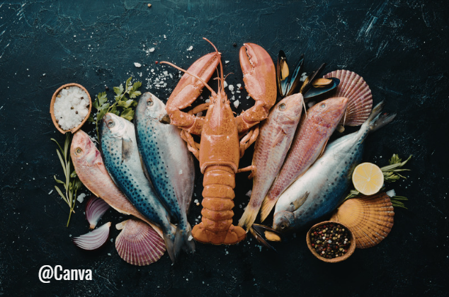 Fruits de mer : différents types.